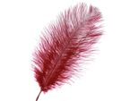 Decorazione Di Piume Di Struzzo Rosso Vino 20-25Cm 12 Pezzi - Piume Vere Per Artigianato E Decorazione Di Matrimoni