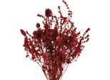 Elegante Bouquet Di Fiori Secchi Con Cardi Per Una Decorazione Romantica