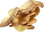 Funghi Ostrica Decorazione Marrone Chiaro Funghi Artificiali Autunno Decorazione Davanzale Decorazione Da Tavolo 19Cm