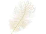 Squisite Piume Di Struzzo Decorative Bianco Crema 20-25 Cm 12 Pezzi - Elegante Decorazione Per Matrimoni E Lavori Manuali, 12 Pezzi