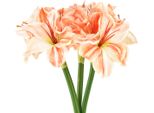 Amaryllis Artificiale 40 Cm - Fiori Artificiali Incredibilmente Realistici In Set Da 3, Colori Bianco, Rosso, Arancione, Fiori Decorativi Per La Casa E L'ufficio, 3 Pezzi