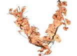 Decorazione Autunnale Ghirlanda Di Foglie Heuchera 150Cm Pianta Artificiale Dettagliato Ambiente Autunnale Decorazione Da Tavolo