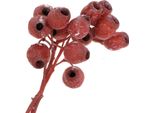 Bellgum Ramo Rosso Smerigliato 20 Pezzi - Frutti Decorativi A Capsula Per Composizioni Floreali Secche E Decorazioni Da Tavola 5-7 Cm, 20 Pezzi