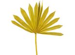 Palmspear Sun Giallo Piccolo 50 Pezzi Decorazione Con Foglie Di Palma, 50 Pezzi
