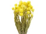 Giallo Fiori Secchi Cappello Fiori Di Paglia 42Cm Decorazione