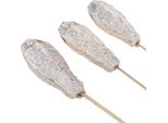 Decorazione Baccelli Di Mogano Bianco Naturale 45Cm 50 Pezzi Fiori Secchi
