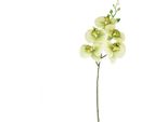 Orchidea Artificiale Giallo Verde 85Cm Tocco Reale Decorazione Phalaenopsis