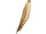 Piume Decorative Dorate 15-20 Cm 12 Pezzi - Decorazioni Natalizie E Decorazioni Per La Tavola, 12 Pezzi