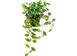 Philodendron Scindapsus Con Vaso - Pianta D'appartamento Artificiale, Facile Da Curare E Decorativa Per Ufficio E Casa, 32Cm