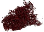Fibra Di Tamarindo Per La Decorazione Creativa E La Fioritura
