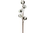 Decorazione Con Ramo Di Cotone Ramo Di Decorazione In Vero Cotone 5 Teste 50Cm Per Avvento, Ghirlanda, Vaso, Fiori Secchi, Decorazione