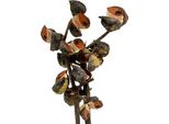 Rami Di Hakea Decorazione Naturale, Fiori Secchi Per Composizioni Funebri, 5-9 Teste, 20 Pezzi