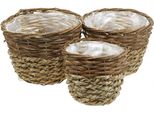 Cesto Rustico In Vimini Per Decorazioni E Piante