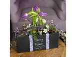 Vassoio Rettangolare In Ardesia 35X15Cm Set Di 3 Nero - Vassoio In Pietra Per Decorazione E Cucina, PK3 Pezzi