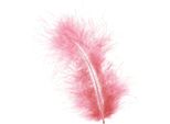 Piume Di Uccello Rosa 20G: Primavera, Pasqua, Artigianato, Decorazione