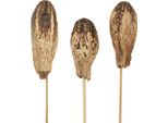 Baccelli Di Mogano Decorazione Naturale 45Cm 50 Pezzi