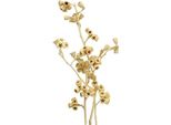 Set Di 25 Ramoscelli Di Eucalipto Sbiancati - Ramoscelli Decorativi Per Il Florovivaismo E L'interior Design, Naturali Ed Eleganti
