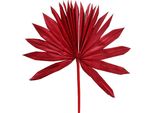 Palmspear Sun Rosso 30 Pezzi - Decorazione Esotica Con Foglie Di Palma Rosse, Decorazione Da Parete, Composizione Floreale Secca, 30 Pezzi