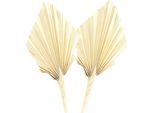Palma Mini Sbiancata, 50 Pezzi Decorazione Floreale Secca Per Composizioni Da Tavola, Bouquet Funebri E Decorazioni Murali