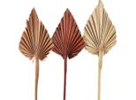 Mini Palmspear Assortito Marocco 30 Foglie Di Palma Decorative, 30 Pezzi