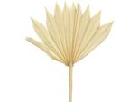 Lancia Di Palma Sbiancata Sun Mini, Ventaglio Decorativo Dall'aspetto Naturale, Simbologia Di Composizione Di Tombe, Fiori Secchi 30 Pezzi