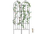 Vevor Pergola 221X50Cm Set Di 2 Pergole In Acciaio Inox Per Giardino Fiori Rosa Pergola Cetrioli Stand Pianta Traliccio Terrazza E Prato Decorativo Clematis Stand