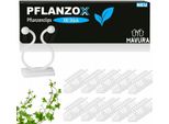 Pflanzox Clip Per Piante Clip Per Piante Rampicanti Clip Per Pomodori 100 Pz