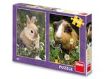 Puzzle Dino Coniglio E Mare 2X48 Pezzi