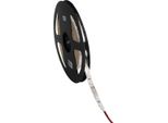 LEDS-B Striscia Led Fredda 5M 24515 Kanlux IP65 12V