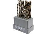 Set Di Punte Per Metallo 19 Pezzi Hss 135°