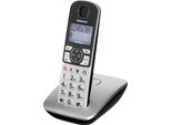 Panasonic KX-TGE510 - Telefono Cordless Con Identificativo Del Chiamante - Dect\Gap - Nero, Argento (KX-TGE510GS)
