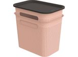 Rotho Set 2X 7L Brisen Box Con Coperchio - Rosa