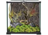 Terrario In Vetro 30 X 30 X 30 Cm 1 Pz