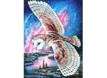 Quadro Diamantato Norimpex Volo Di Gufo 30X40Cm