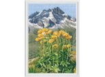 Set Per Punto Croce Rto "In The Moment, Mountain"", Schema Contato, 12,5X18Cm"