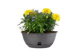 Bama Vaso Da Fiori Paglia, 40 Cm, Antracite