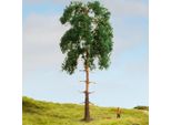 Noch Pine Tree / Borovica 18Cm