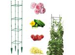 Supporto Da Giardino Per Piante Rampicanti Telaio Ad Asta Per Pomodori Cetrioli H 120Cm