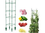 Supporto Da Giardino Per Piante Rampicanti Telaio Ad Asta Per Pomodori Cetrioli H 120Cm