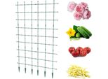 Supporto Da Giardino Pergola Scala Piante Rampicanti 120X180 Cm