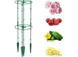 Supporto Per Piante Rampicanti Per Pomodori E Cetrioli H 80Cm