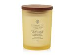 Candela Profumata Chesapeake Bay Candela Forza Ed Energia 250G