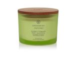 Candela Profumata Chesapeake Bay Candle Awaken & Invigorate 312G / 3 Stoppini