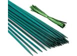 Ferrarium Bastoncino Di Bambù Verde Colorato 50 Pezzi - 50 Cm Ø 5,5 Mm