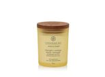 Chesapeake Bay Pineapple Coconut - Candela Piccola Chesapeake Bay 96 G