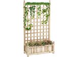 Letto Rialzato 845-463, Con Traliccio, Fioriera, Legno Naturale, 64 X 28 X 120 Cm