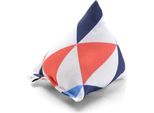 Piramid Xl Cuscino Di Coccole Per Gatti | Gatto Canadese | Triangolo Nordico | Erba Gatta 11G
