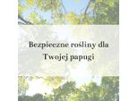 Guida Di Parrotplanet - Piantagione Sicura Per Il Vostro Pappagallo
