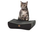 Satellite 2.0. Small | Tiragraffi Per Gatti | Gatto Canadese | Edizione Nera | Nero