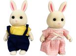 Famiglia Stomle - Una Coppia Di Conigli Di Colore Beige